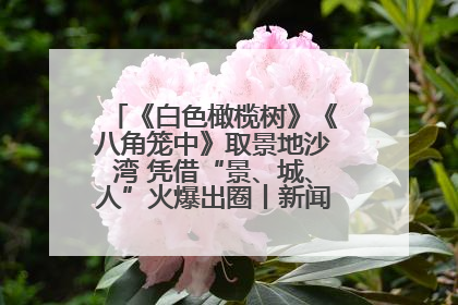 《白色橄榄树》《八角笼中》取景地沙湾 凭借“景、城、人”火爆出圈丨新闻发布最前线