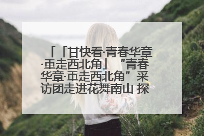 「甘快看·青春华章·重走西北角」“青春华章·重走西北角”采访团走进花舞南山 探寻天水乡村振兴之路
