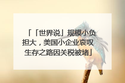 「世界说」规模小负担大，美国小企业哀叹生存之路因关税被堵
