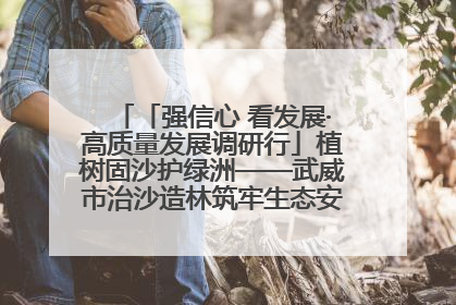 「强信心 看发展·高质量发展调研行」植树固沙护绿洲——武威市治沙造林筑牢生态安全屏障见闻