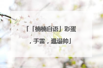 「楠楠自语」彩蛋，手雷，邋遢帅