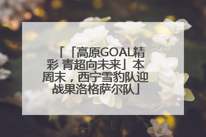「高原GOAL精彩 青超向未来」本周末，西宁雪豹队迎战果洛格萨尔队