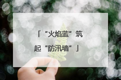“火焰蓝”筑起“防汛墙”