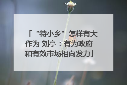 “特小乡”怎样有大作为 刘亭：有为政府和有效市场相向发力
