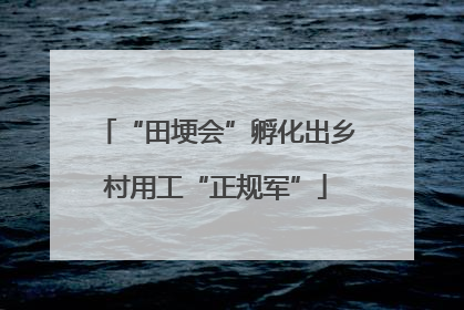 “田埂会”孵化出乡村用工“正规军”