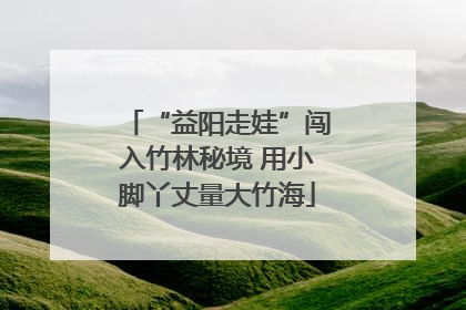 “益阳走娃”闯入竹林秘境 用小脚丫丈量大竹海