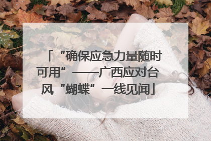 “确保应急力量随时可用”——广西应对台风“蝴蝶”一线见闻