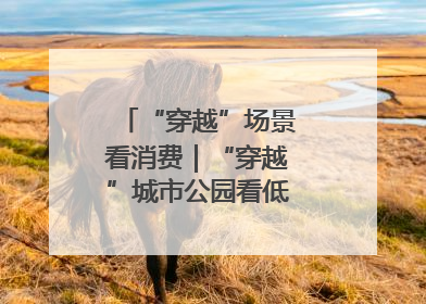 “穿越”场景看消费｜“穿越”城市公园看低空消费新场景