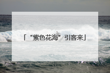 “紫色花海”引客来