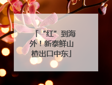 “红”到海外！新泰鲜山楂出口中东