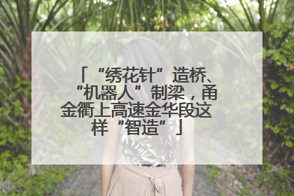 “绣花针”造桥、“机器人”制梁，甬金衢上高速金华段这样“智造”