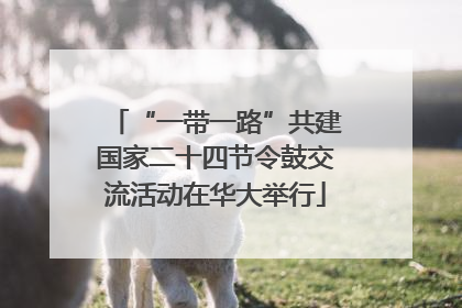 “一带一路”共建国家二十四节令鼓交流活动在华大举行