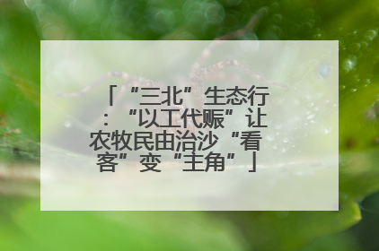 “三北”生态行：“以工代赈”让农牧民由治沙“看客”变“主角”