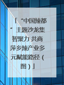 “中国辣都”主题沙龙集智聚力 共商萍乡辣产业多元赋能路径（图）