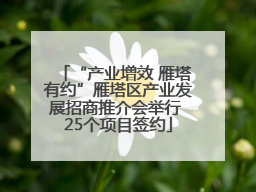 “产业增效 雁塔有约”雁塔区产业发展招商推介会举行 25个项目签约
