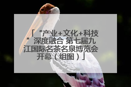 “产业+文化+科技”深度融合 第七届九江国际名茶名泉博览会开幕（组图）
