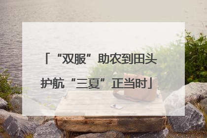 “双服”助农到田头 护航“三夏”正当时
