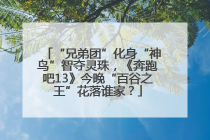 “兄弟团”化身“神鸟”智夺灵珠，《奔跑吧13》今晚“百谷之王”花落谁家？