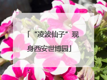 “凌波仙子”现身西安世博园