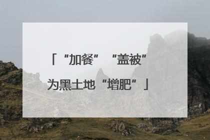 “加餐”“盖被” 为黑土地“增肥”