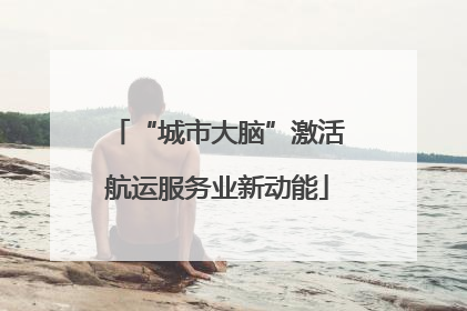 “城市大脑”激活航运服务业新动能