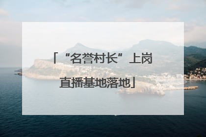 “名誉村长”上岗 直播基地落地