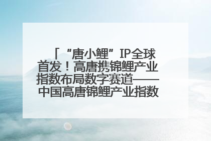 “唐小鲤”IP全球首发！高唐携锦鲤产业指数布局数字赛道——中国高唐锦鲤产业指数暨“唐小鲤”IP全球首发仪式在杭州举行