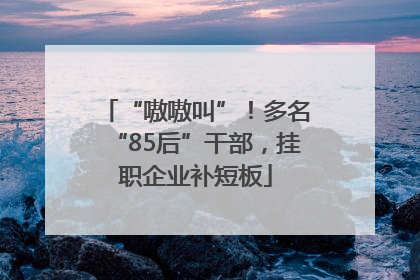 “嗷嗷叫”！多名“85后”干部，挂职企业补短板