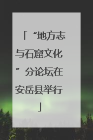 “地方志与石窟文化”分论坛在安岳县举行