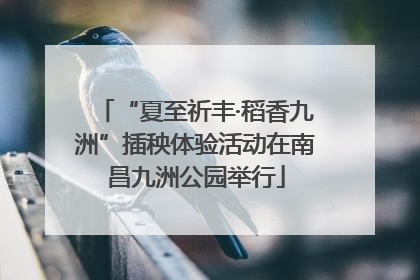 “夏至祈丰·稻香九洲”插秧体验活动在南昌九洲公园举行