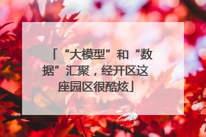 “大模型”和“数据”汇聚，经开区这座园区很酷炫