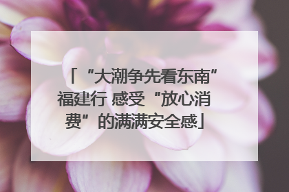 “大潮争先看东南”福建行 感受“放心消费”的满满安全感