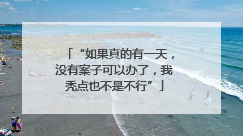 “如果真的有一天，没有案子可以办了，我秃点也不是不行”