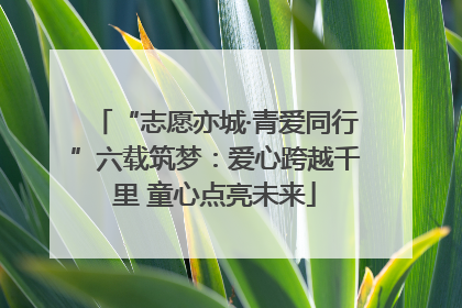 “志愿亦城·青爱同行”六载筑梦：爱心跨越千里 童心点亮未来