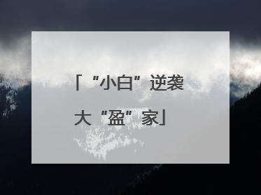 “小白”逆袭大“盈”家