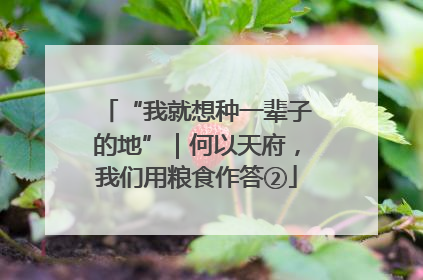 “我就想种一辈子的地”｜何以天府，我们用粮食作答②