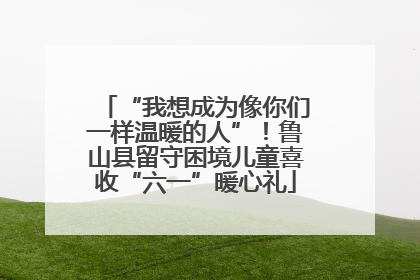“我想成为像你们一样温暖的人”！鲁山县留守困境儿童喜收“六一”暖心礼
