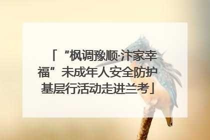 “枫调豫顺·汴家幸福”未成年人安全防护基层行活动走进兰考