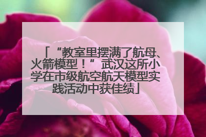 “教室里摆满了航母、火箭模型！”武汉这所小学在市级航空航天模型实践活动中获佳绩