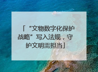 “文物数字化保护战略”写入法规，守护文明需担当
