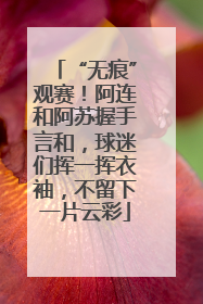 “无痕”观赛！阿连和阿苏握手言和，球迷们挥一挥衣袖，不留下一片云彩