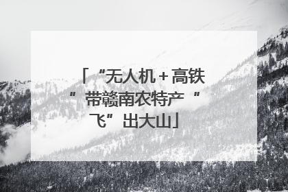 “无人机＋高铁”带赣南农特产“飞”出大山