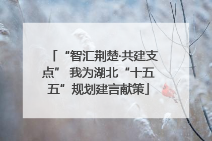 “智汇荆楚·共建支点” 我为湖北“十五五”规划建言献策