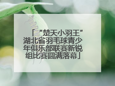 “楚天小羽王”湖北省羽毛球青少年俱乐部联赛新锐组比赛圆满落幕
