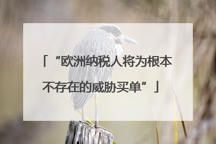 “欧洲纳税人将为根本不存在的威胁买单”
