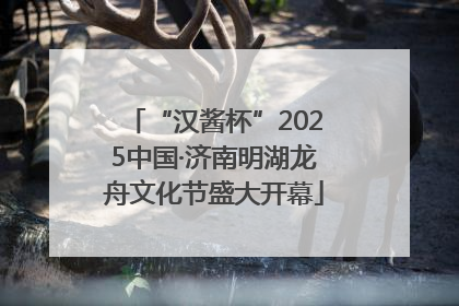 “汉酱杯”2025中国·济南明湖龙舟文化节盛大开幕
