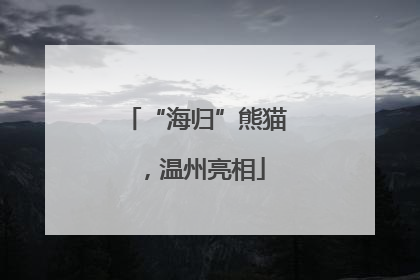 “海归”熊猫，温州亮相