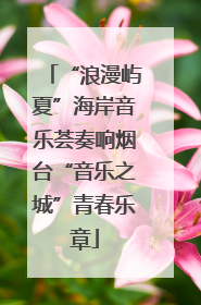 “浪漫屿夏”海岸音乐荟奏响烟台“音乐之城”青春乐章