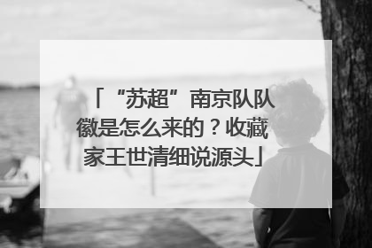 “苏超”南京队队徽是怎么来的？收藏家王世清细说源头