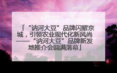 “讷河大豆”品牌闪耀京城，引领农业现代化新风尚——“讷河大豆”品牌新发地推介会圆满落幕